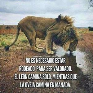 Meet your Posher, Antonio